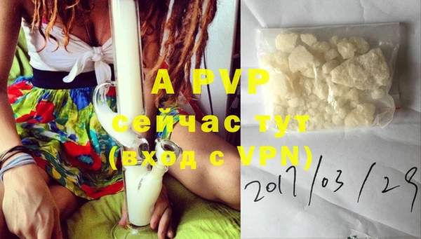 стафф Краснотурьинск