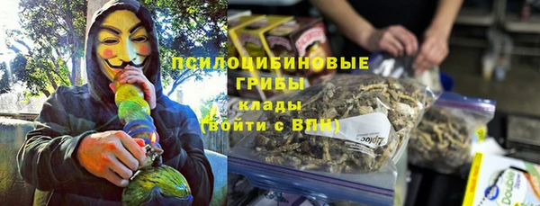 стафф Краснотурьинск