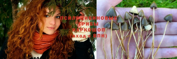 прущий лед Краснослободск