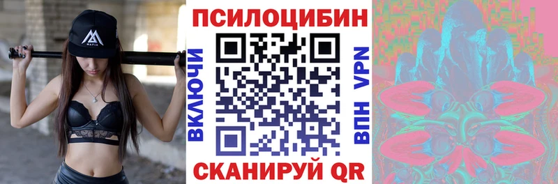 Галлюциногенные грибы MAGIC MUSHROOMS  где продают   Суджа 